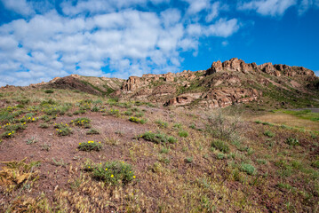 rocks in the desert