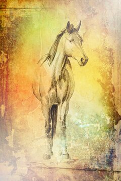 Colorful horse art illustration grunge painting photography winter