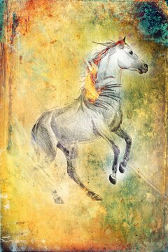 Colorful horse art illustration grunge painting photography winter