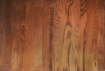 Fototapeta premium Wood texture. Bog oak. Backgrounds and textures.