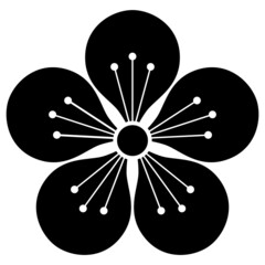 家紋です。白銀梅といいます。