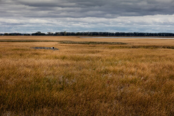 Beautiful view of of the marsh and boardwalk in Point Pelee