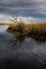 Stunning sky and landscape shot Point Pelee, Ontario, Canada