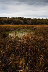 Stunning sky and landscape shot Point Pelee, Ontario, Canada