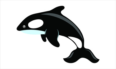 wale illustration vector deasign graphics