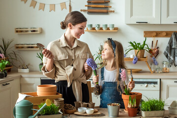 girl and woman transplant flowers and indoor plants. plant bulbs, hyacinths, microgreens together
