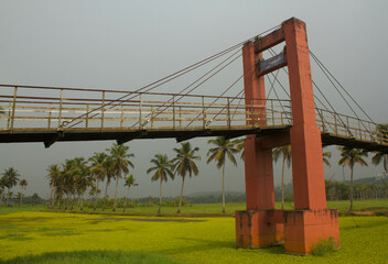 Suspension bridge over a river filled with aquatic plants and coconut trees in the back ground