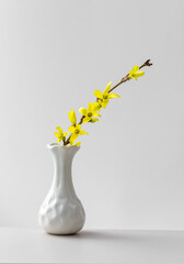 flowering yellow branch in vase on Bright background. vertical frame