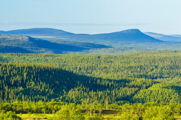 Fototapeta na wymiar Taiga landscape view with mountains in the north