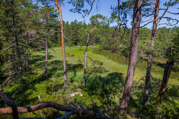 Fototapete bei efototapeten.de bestellen   