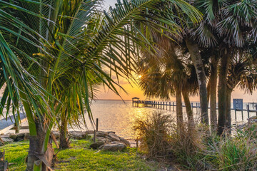 Naklejka na ściany i meble View of a yellow sunset over the Indian River through a gap between palm trees from the A1A in Florida. Typical wooden pier for parking boats in shallow water