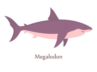 Prehistoric underwater shark megalodon with fins. Predatory sea lizard. Scary jaws with teeth. Wildlife of the Jurassic period. Vector illustration isolated on white background