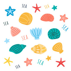Cute set of sea shells and starfish, isolated on white background. Flat vector cartoon illustration, clipart.