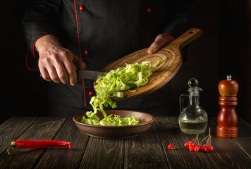 Cabbage salad preparation. Professional chef while working in the restaurant kitchen. Diet breakfast or dinner idea. Vegetarian cuisine.
