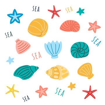 Cute set of sea shells and starfish, isolated on white background. Flat vector cartoon illustration, clipart.