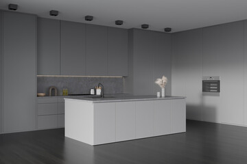 Grey kitchen set interior with countertop and kitchenware, wooden floor