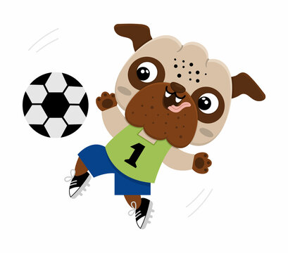Vector cartoon pug. Anthropomorphic dog doing sports. Funny pup playing football. Cute animal illustration with soccer ball for kids. Funny little pet icons collection.