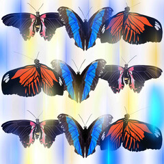 butterflies,butterflies with sequins,pink and black butterfly,mother-of-pearl butterfly,exotic butterfly butterfly,butterfly with bubbles,butterfly with highlights,butterfly on a heavenly background,b