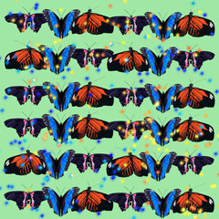 Fototapeta na wymiar butterflies,butterflies with sequins,pink and black butterfly,mother-of-pearl butterfly,exotic butterfly butterfly,butterfly with bubbles,butterfly with highlights,butterfly on a heavenly background,b
