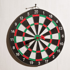 dart on target on white background