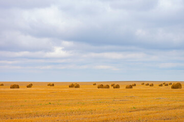 Obraz premium Hay bail harvesting in golden field landscape