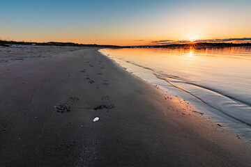 A tiny shell on the beach © DarekPiosik