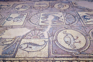 Fototapeta na wymiar March 2018-Floor Mosaics, Petra Church also known as the Byzantine Church ,, Petra, Jordan