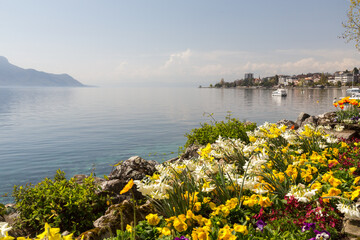 Bord de lac fleuri à Montreux