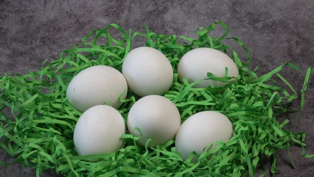 Ecologic white chicken eggs on shredded paper strips, top view
