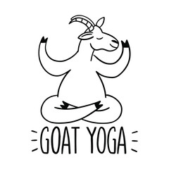 Goat yoga outline illustration. Modern fitness. Flat vector illustration of funny animal isolated on white background