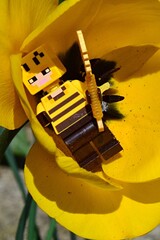 Fototapeta premium LEGO Minecraft figure of Beekeeper standing in chalice of yellow Tulip flower with golden shovel in left hand, yellow stigma and black center and stamens visible. Spring daylight sunshine. 