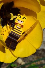 Fototapeta premium LEGO Minecraft figure of Beekeeper hidden in chalice of yellow Tulip flower with golden shovel in left hand, yellow stigma and black center and stamens visible. Spring daylight sunshine. 