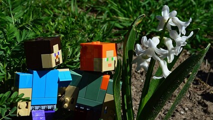 Fototapeta premium LEGO Minecraft large figures of Steve and Alex looking at blossoming white Hyacinth flowers (Hyacinthus Orientalis) in spring garden, daylight sunshine. Garden lawn in background. 