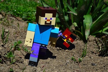 Fototapeta premium LEGO Minecraft large figure of Steve is escapes from dangerous hostile Nether mob Magma Cube on spring sunlit garden soil, green plants and lawn in backgrond