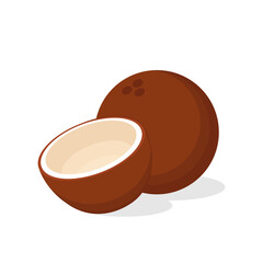 Half coconut. Coconut vector on white background. Realistic vector illustration isolated on white background.
