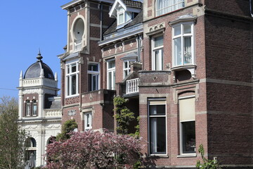 Fototapeta na wymiar Amsterdam Roemer Visscherstraat Street House Exterior Close Up with Blooming Pink Tree, Netherlands