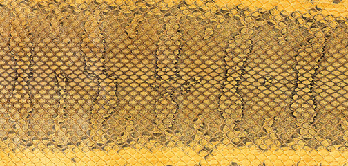 Brown snake skin texture, as background. Natural reptile leather.