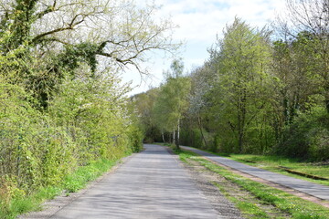 Radweg Mayen - Polch mit einer Straße parallel