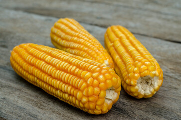 Dry corn on the cob on the cob.