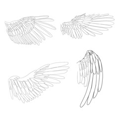 Birds wings in line style. Angels wings.
