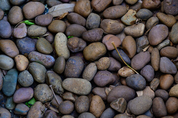 rock stone on ground background texture