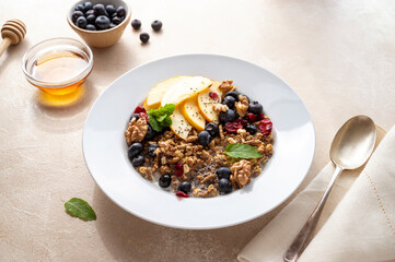 Healthy breakfast oatmeal porridge wit blueberries, cranberries, wallnuts and chia seeds. Dieting breakfast food
