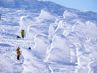 Snow monsters (soft rime) with people walking among them (Zao-onsen ski resort, Yamagata, Japan)