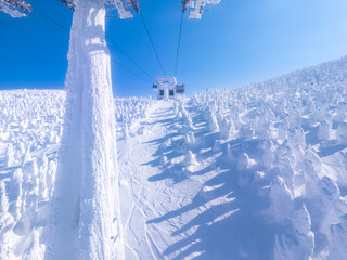 Passing through ice monsters (soft rime) plateau with cable car. (Zao-onsen ski resort, Yamagata,...