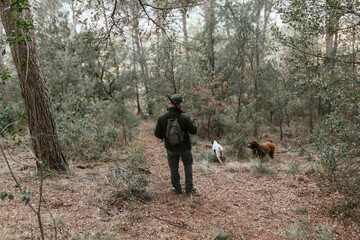 Man with his rifle walking into woods with his two dogs