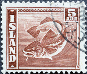 Iceland - circa 1948: a postage stamp from Ireland , showing a Atlantic Cod (Gadus morhua) fish