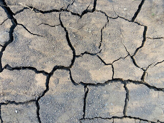 dry earth