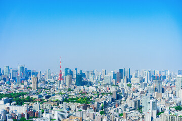 Fototapeta na wymiar Landscape of central Tokyo
