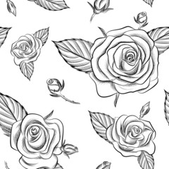 Rose. Seamless pattern. Hand drawn vector illustration.