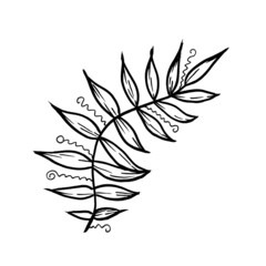 Monochrome Floral botanical isolated tropical Leaf illustration element. Line art hand drawing Leave on white background for frame or border, backdrop, texture, wrapper pattern